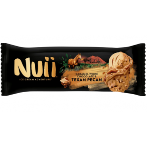Nuii Ice Cream Texas Pecan Ice Creams