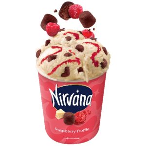 Nirvana Ice Cream Raspberry & Truffle 150ml Food